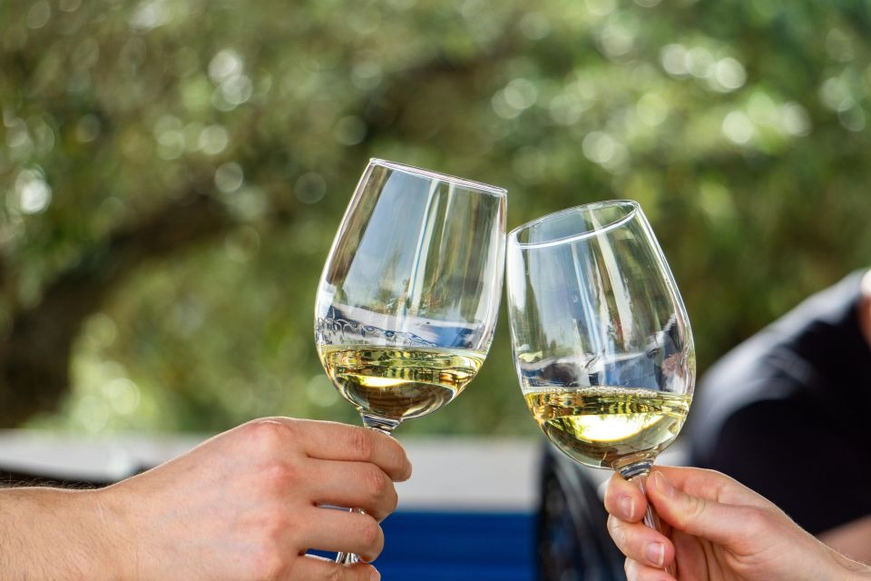 From Albufeira: Full-Day Wine Tasting Tour