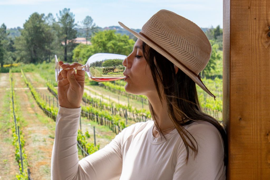 From Albufeira: Full-Day Wine Tasting Tour