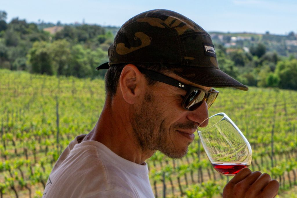 From Albufeira: Full-Day Wine Tasting Tour