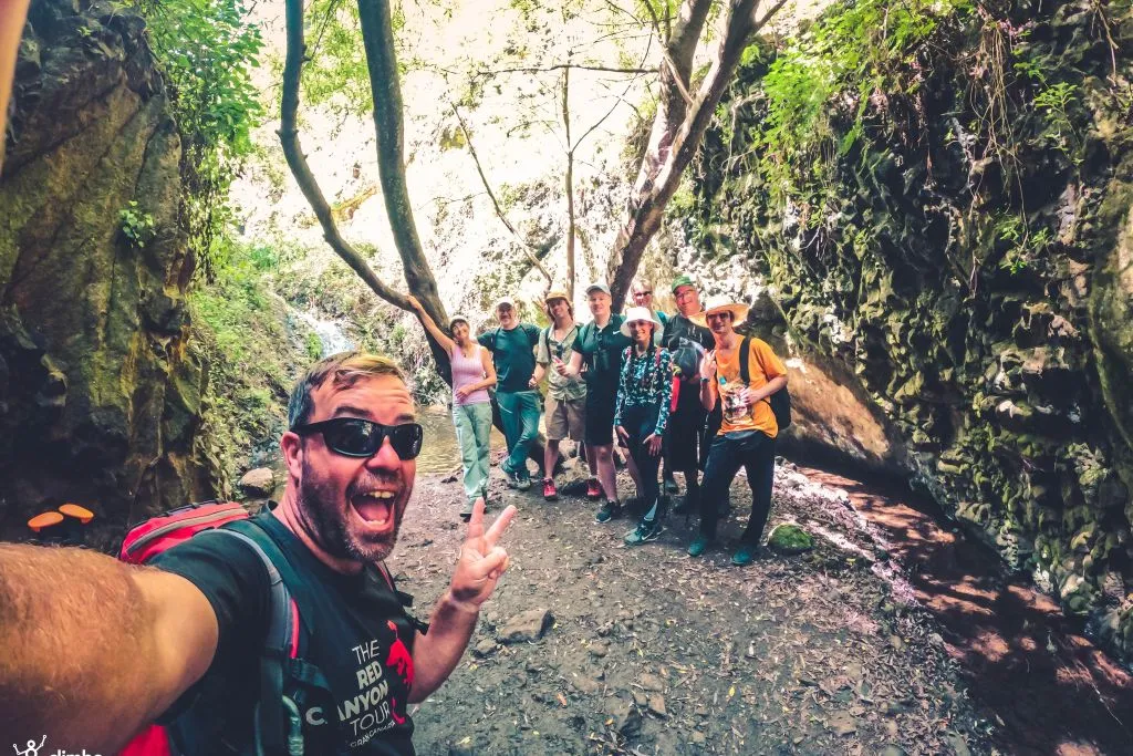 The Rainforest Tour - Small Group Trip with Tasting