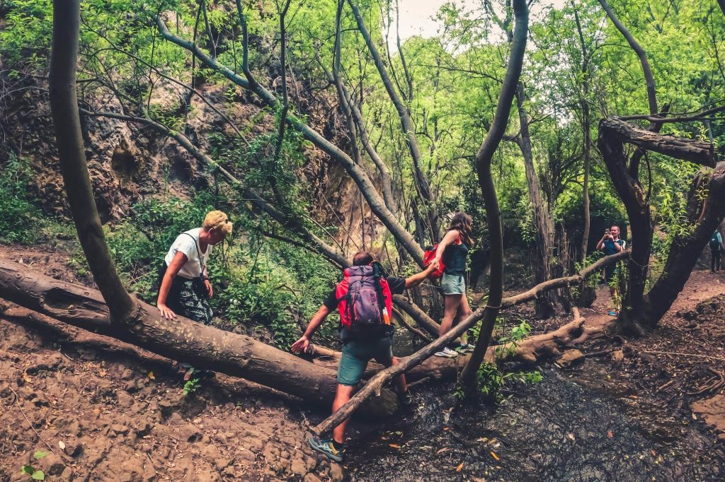 Excursión a la Selva Tropical - Viaje en grupo reducido con degustación
