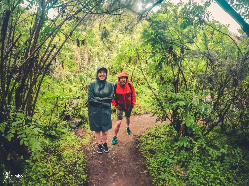 The Rainforest Tour - Small Group Trip with Tasting