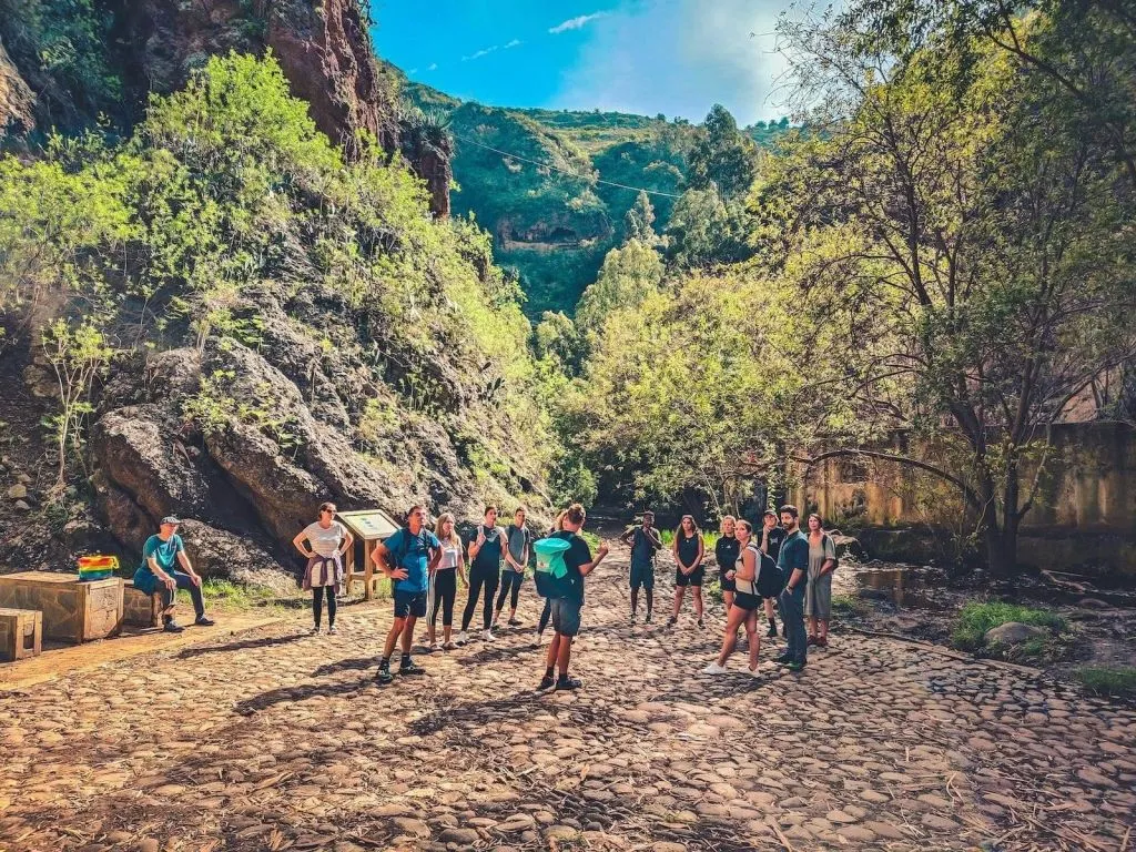 The Rainforest Tour - Small Group Trip with Tasting