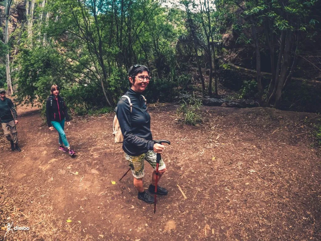 The Rainforest Tour - Small Group Trip with Tasting