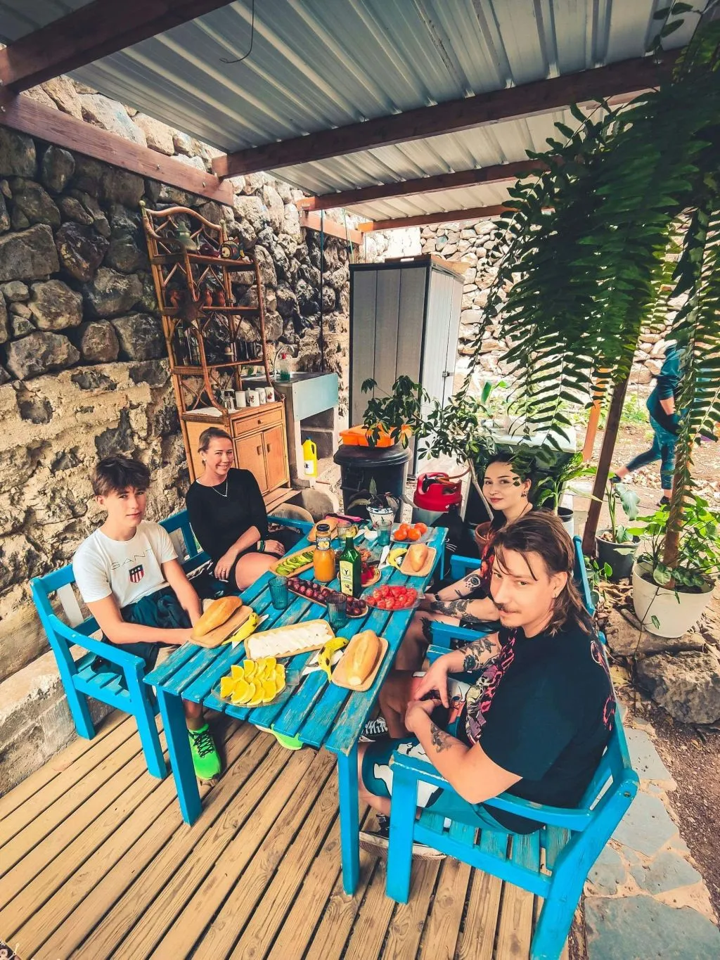 The Rainforest Tour - Small Group Trip with Tasting