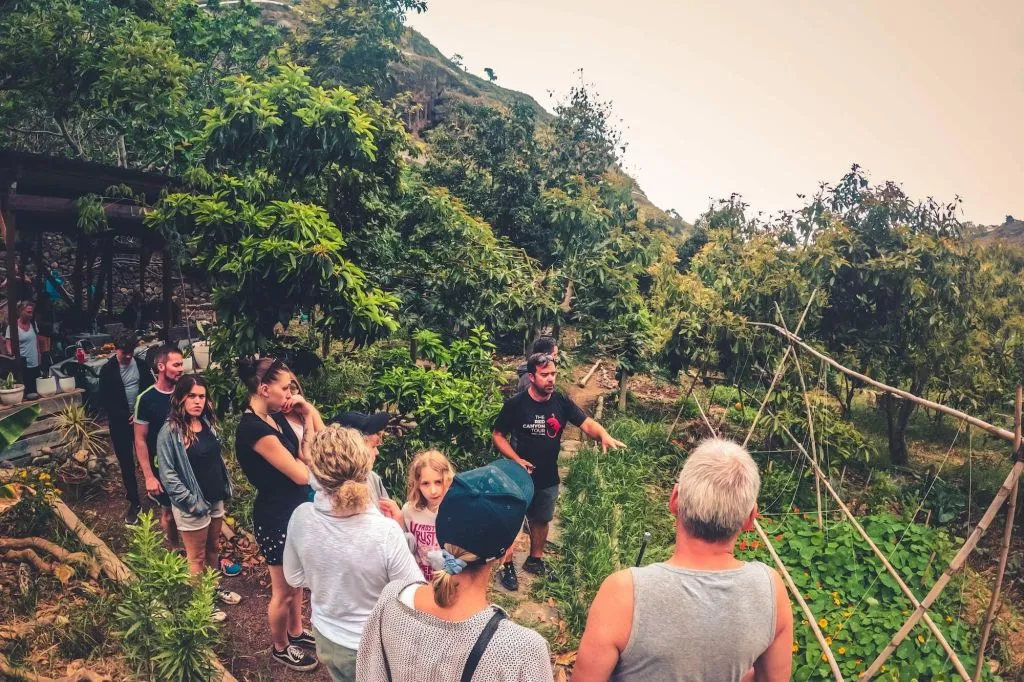 The Rainforest Tour - Small Group Trip with Tasting