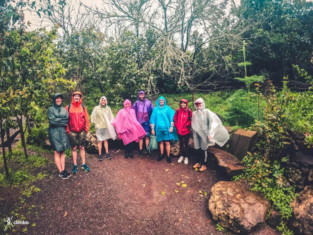 The Rainforest Tour - Small Group Trip with Tasting