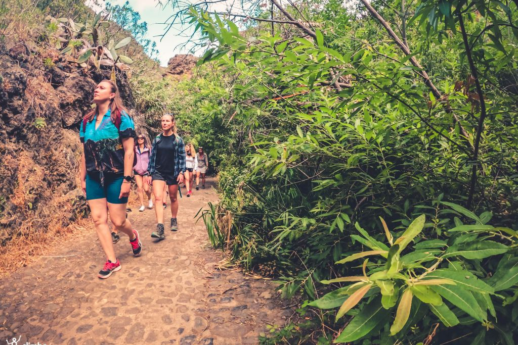 Excursión a la Selva Tropical - Viaje en grupo reducido con degustación