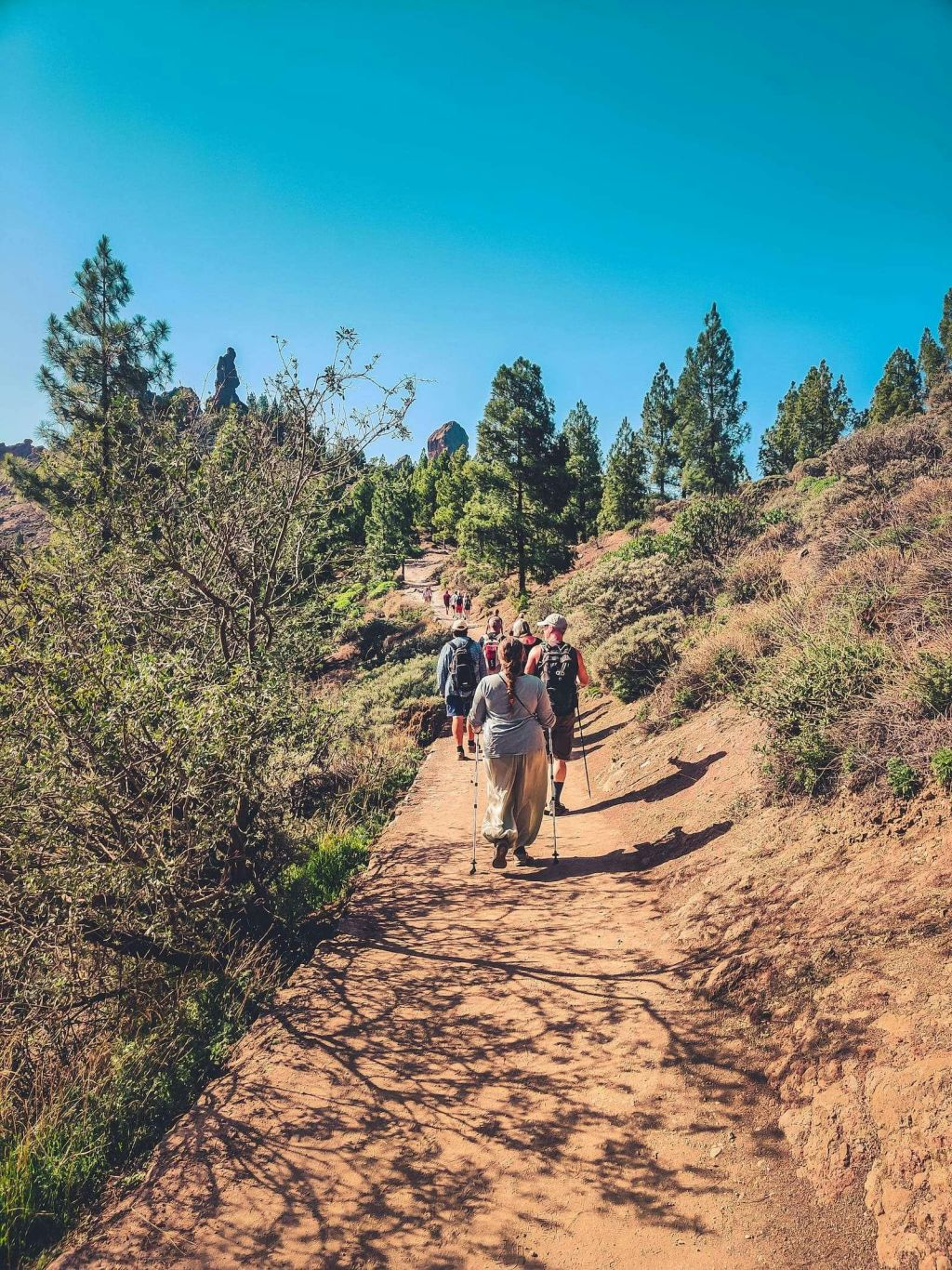 Tour del cuore del vulcano + degustazione di prodotti locali ツ