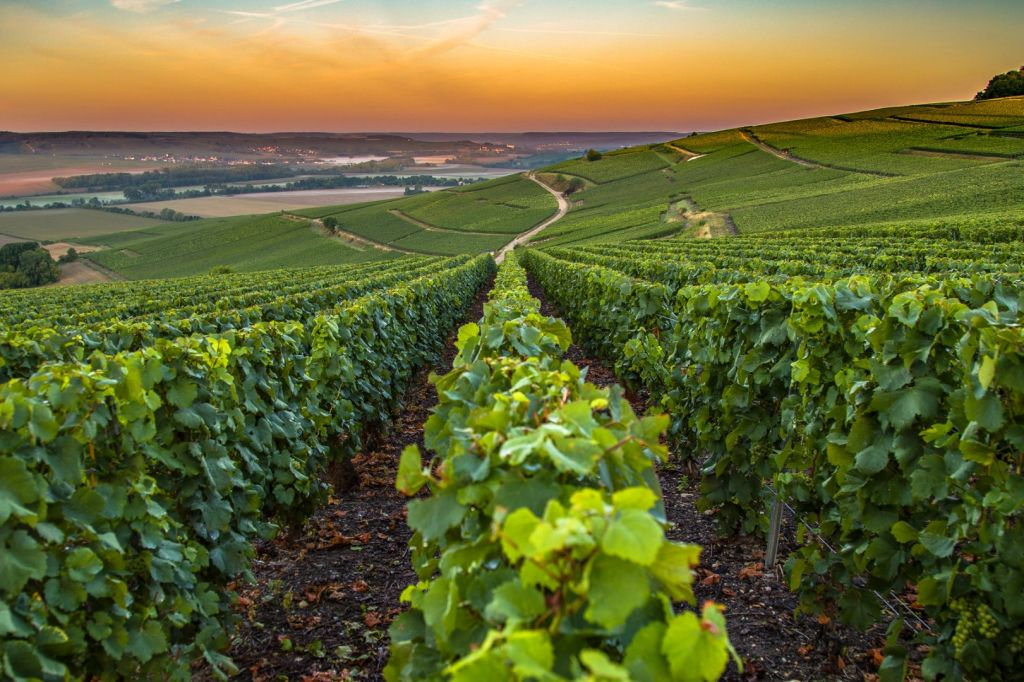 Nice: Tour pela vila de Provence com degustação de vinhos e produtos