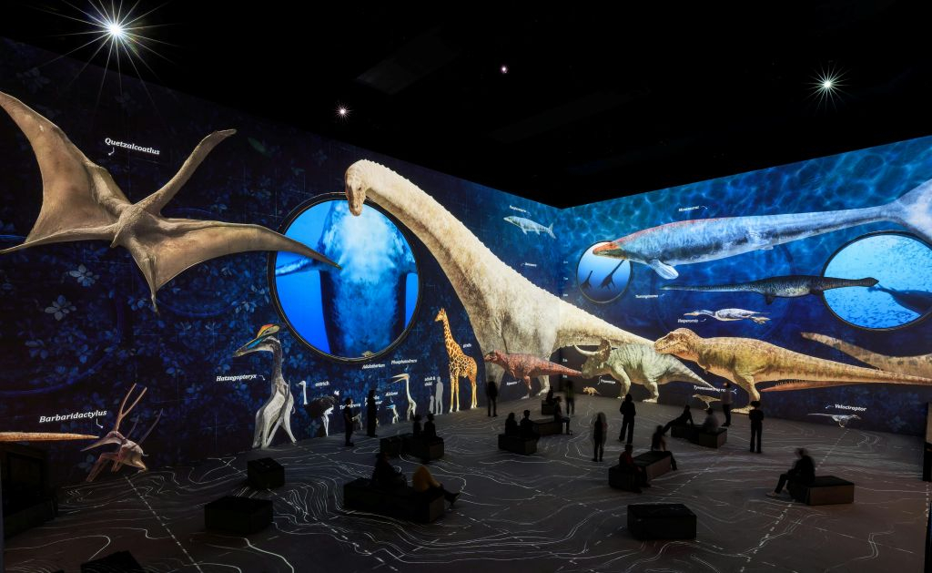 Atelier des Lumières: Entry Ticket for the Van Gogh exhibition
