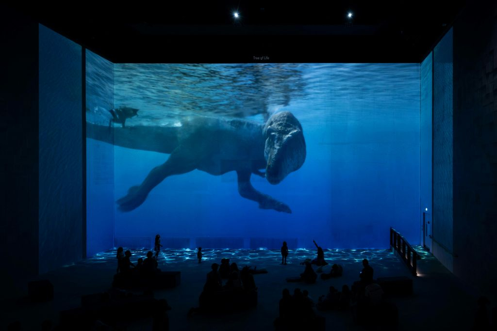 Atelier des Lumières: Entry Ticket for the Van Gogh exhibition
