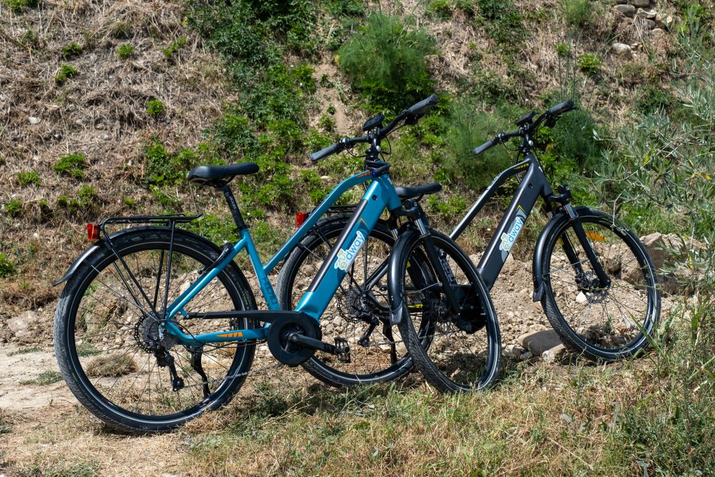 Florencia: Visita guiada de medio día en bicicleta eléctrica + almuerzo