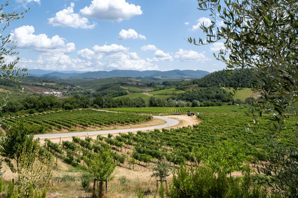 Half-Day Guided E-Bike Tour in Florence with Lunch