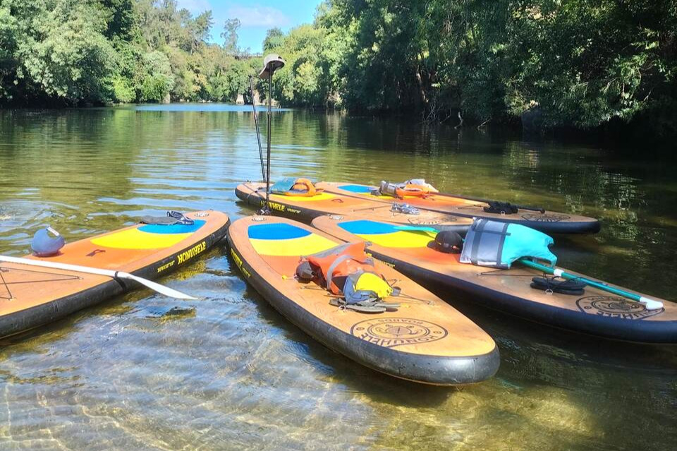 Standup Paddle Paiva River Tour from Porto with Transfer