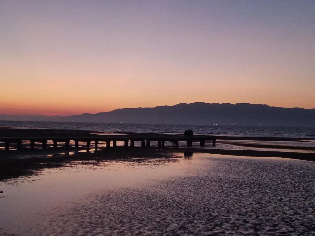 Visitas en el Delta del Ebro