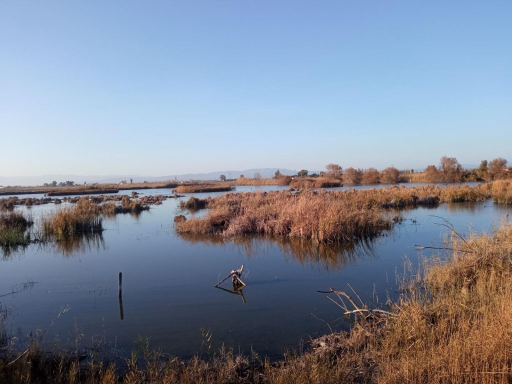Visitas en el Delta del Ebro
