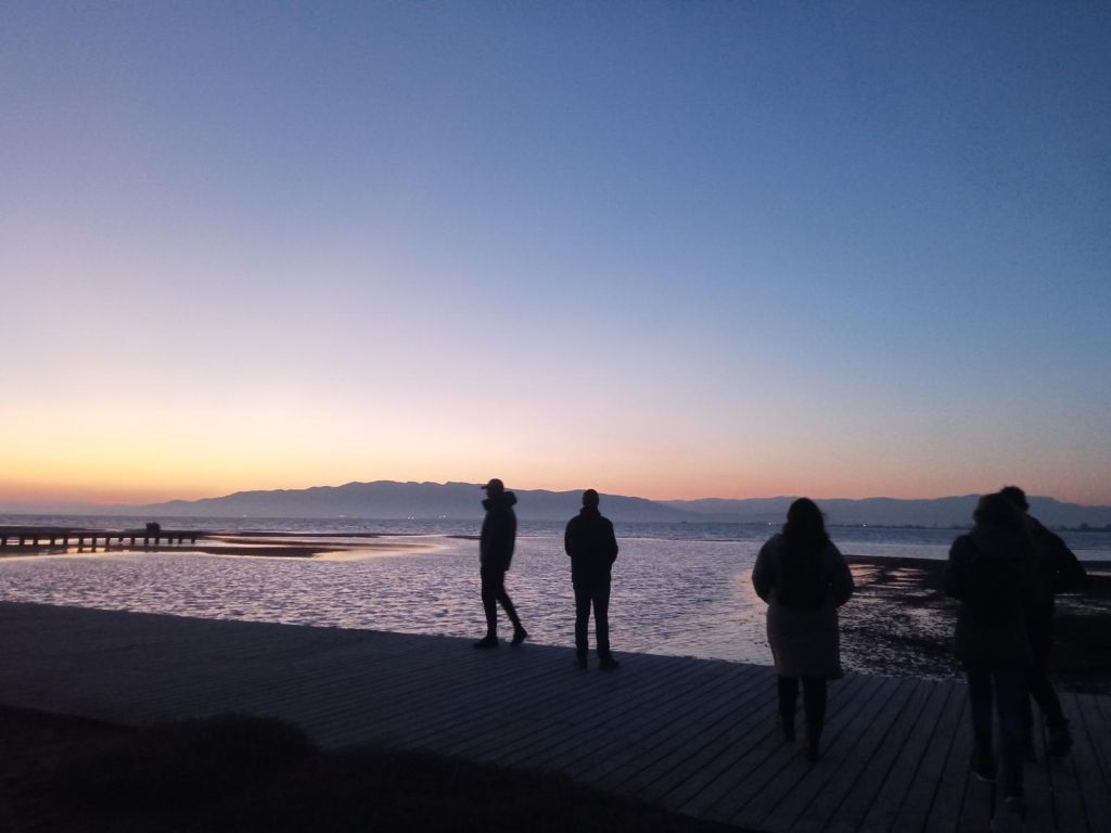 Visitas en el Delta del Ebro