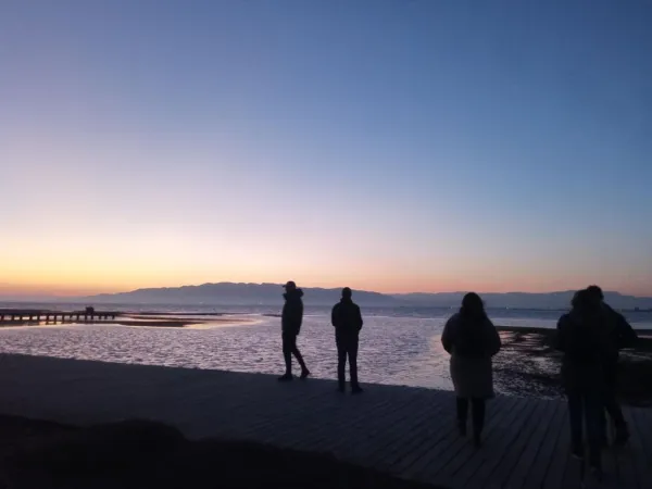 Visite nel Delta dell'Ebro