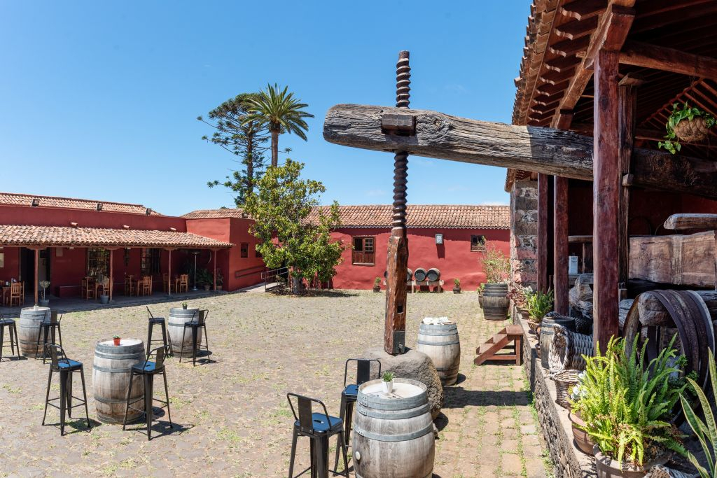 Tenerife: House of Wine Guided Tour + Wine Tasting (Optional)