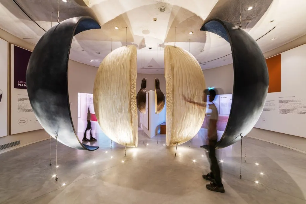 WOW Porto Wine School: The Wine Experience + Personalized Tasting