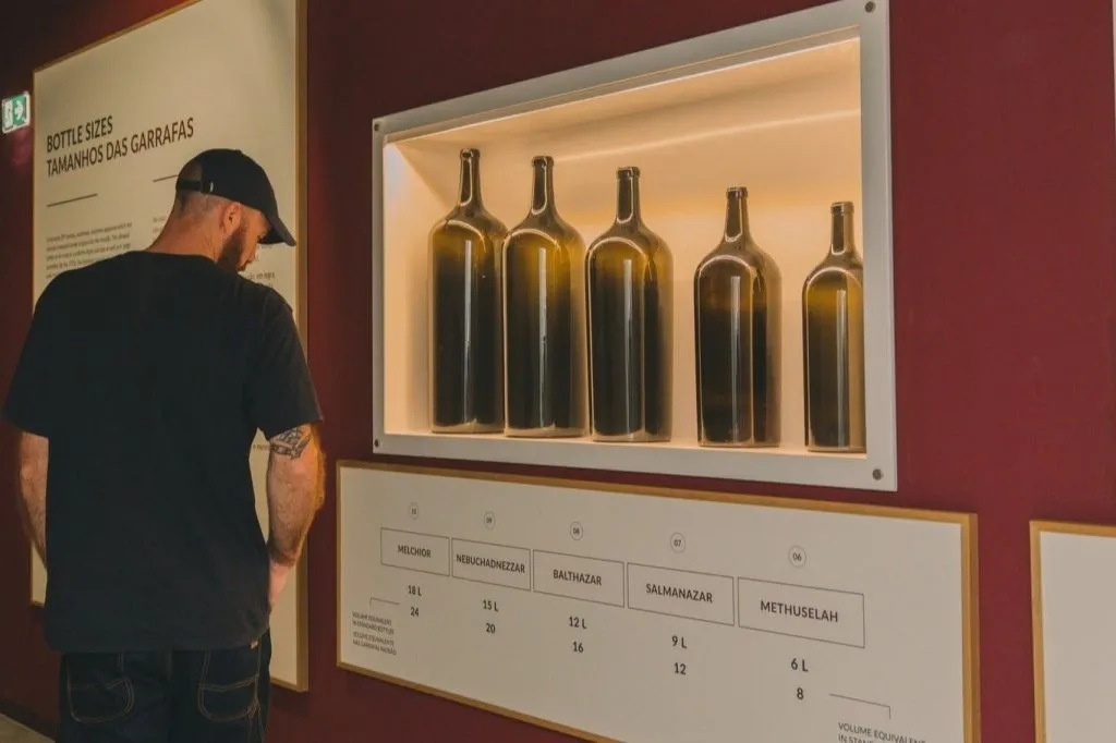 WOW Porto Wine School: The Wine Experience + Personalized Tasting