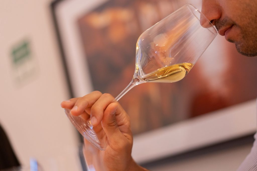 WOW Porto Wine School: The Wine Experience + Personalized Tasting