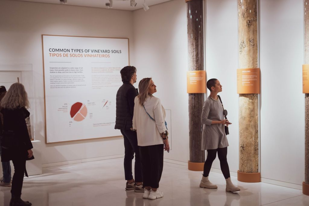 WOW Porto Wine School: The Wine Experience + Personalized Tasting