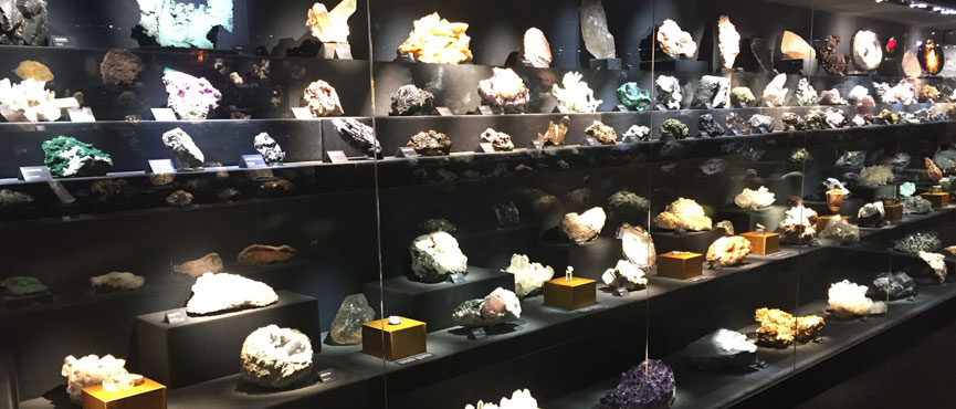 Museum of Natural History La Specola: Skip The Line