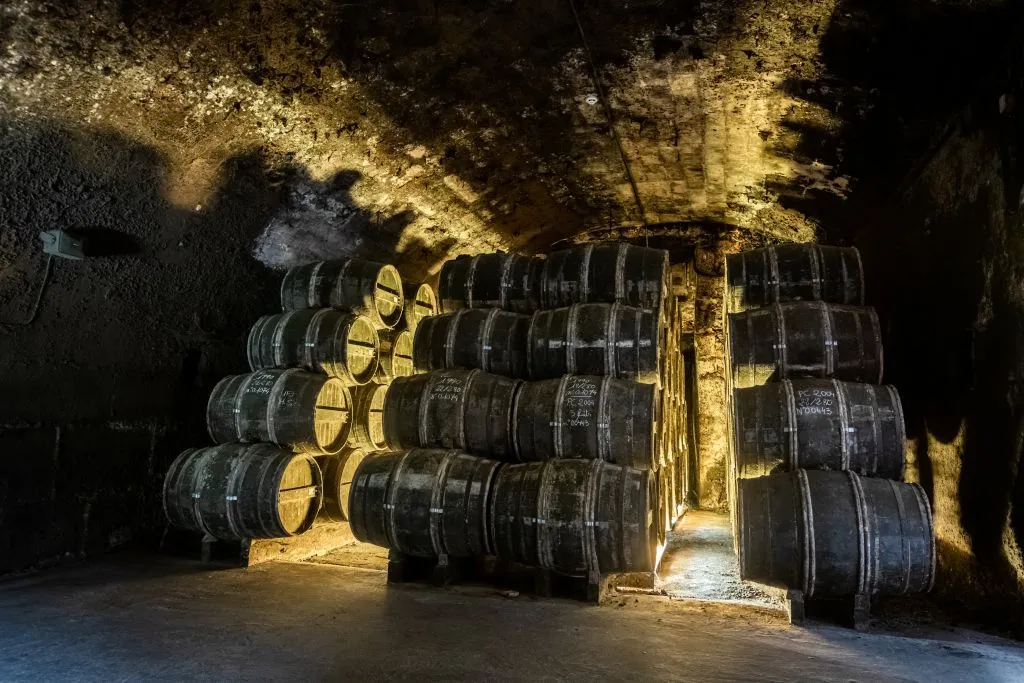 Château Royal de Cognac : Visite guidée + dégustation
