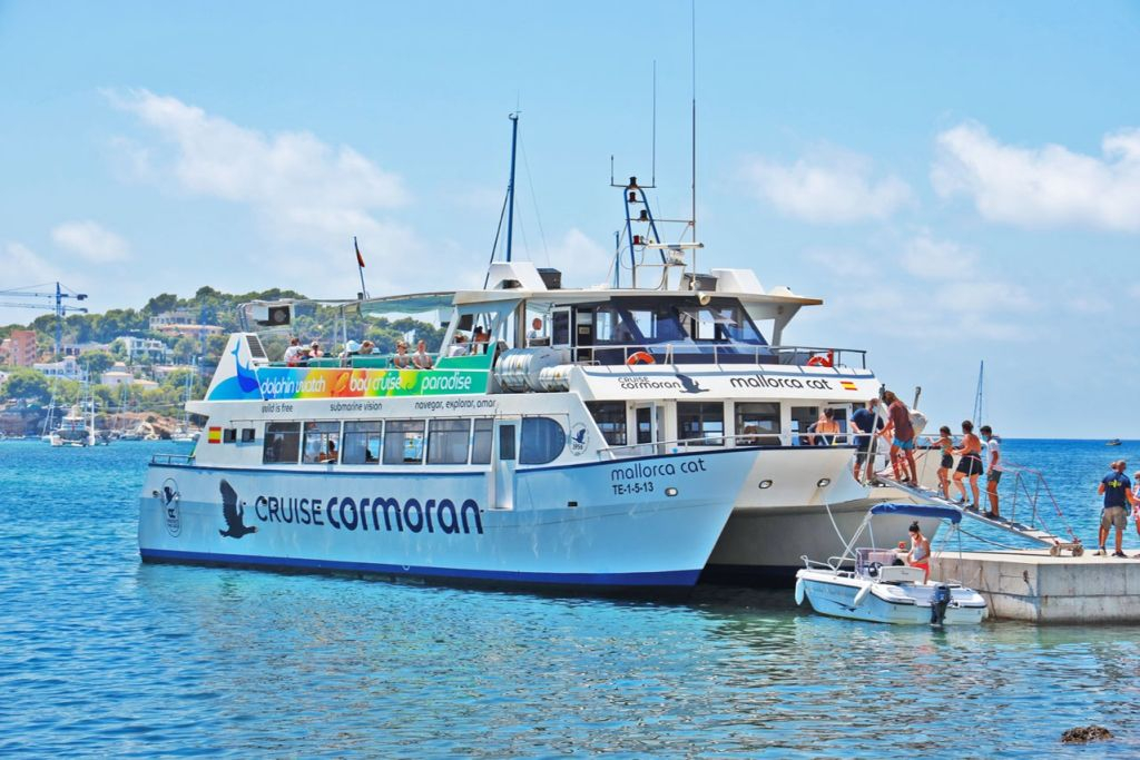 Palma de Mallorca: Crucero de 2 horas en Catamarán + Natación y Snorkel
