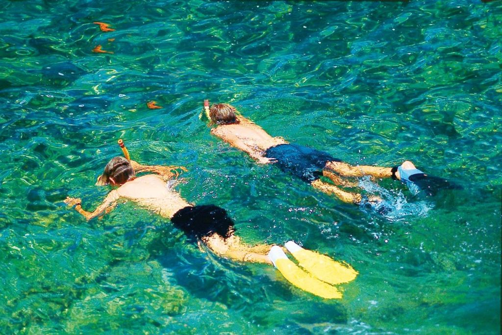 Palma de Mallorca: Crucero de 2 horas en Catamarán + Natación y Snorkel