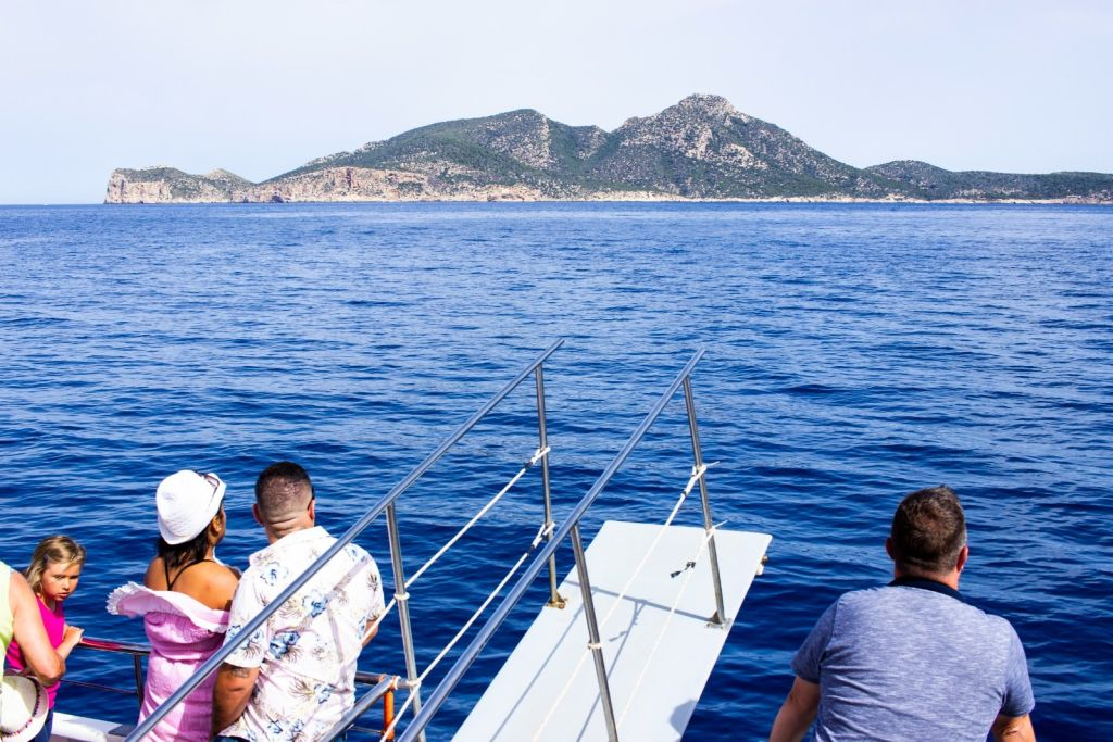 Palma de Mallorca: Crucero de 2 horas en Catamarán + Natación y Snorkel