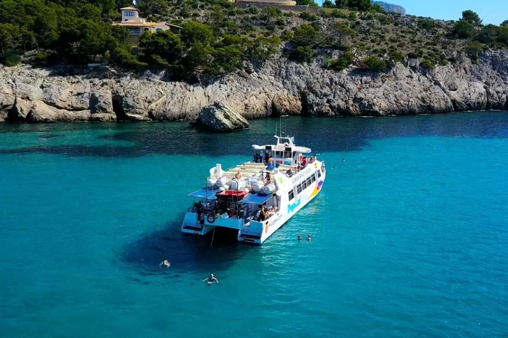 Palma de Mallorca: Crucero de 2 horas en Catamarán + Natación y Snorkel