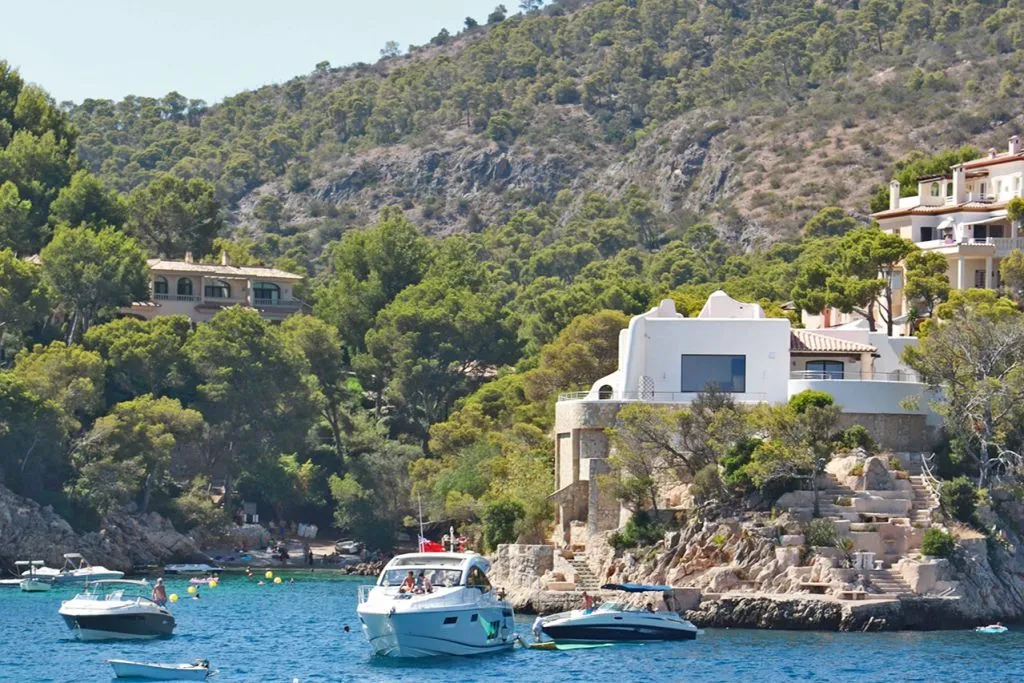 Palma de Mallorca: Crucero de 2 horas en Catamarán + Natación y Snorkel