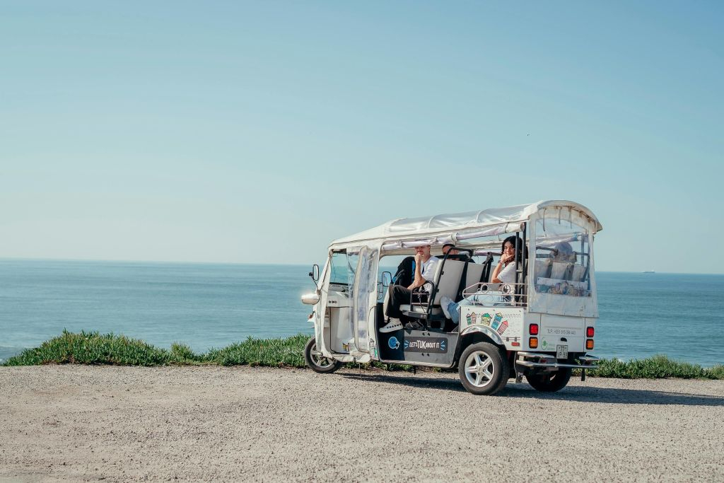 Tour turistico privato di 1,5 ore in Tuk Tuk elettrico della Porto storica