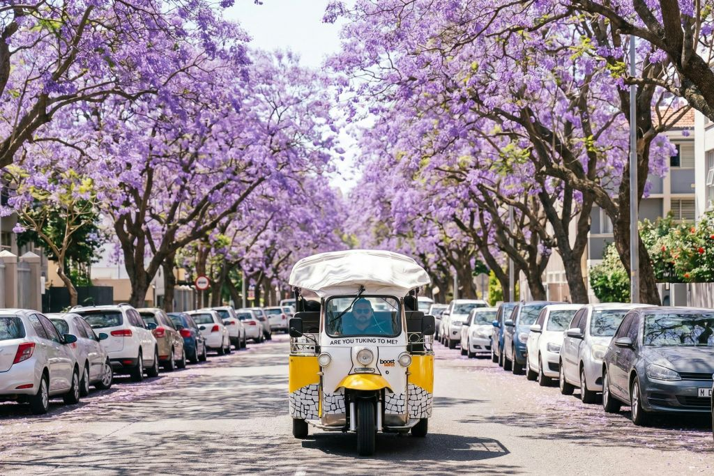 1.5-Hour Private Tuk Tuk Tour of Lisbon Old Town and City Center