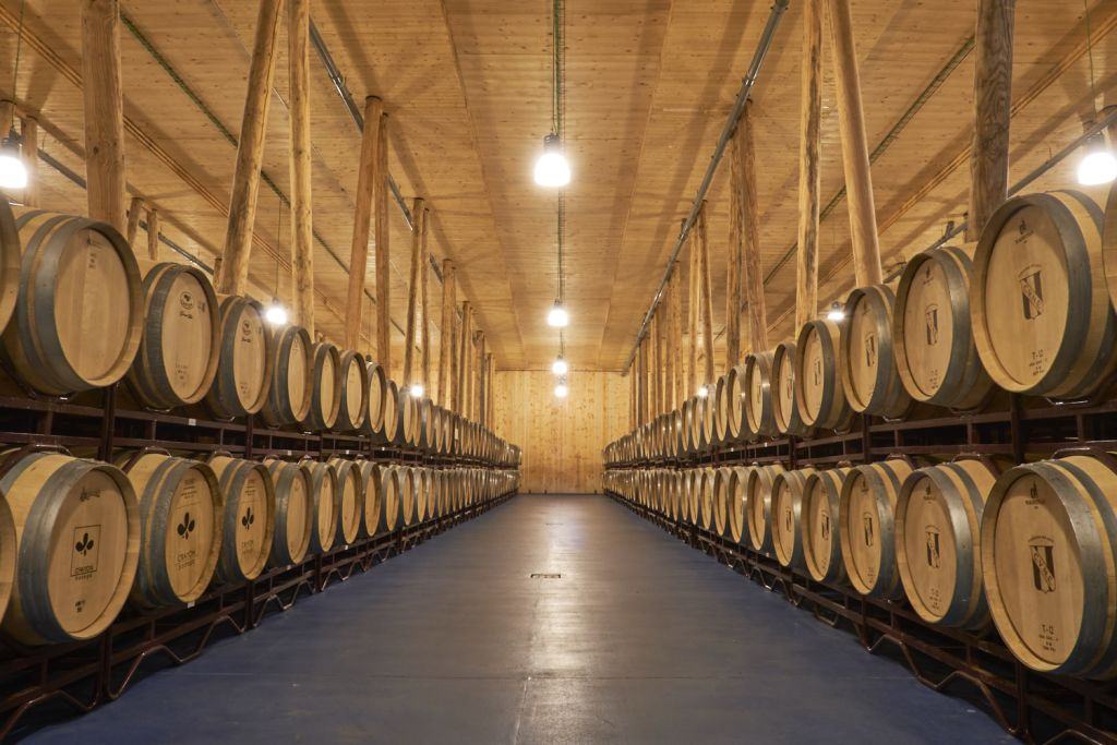Bela Winery - Villalba de Duero (Burgos)