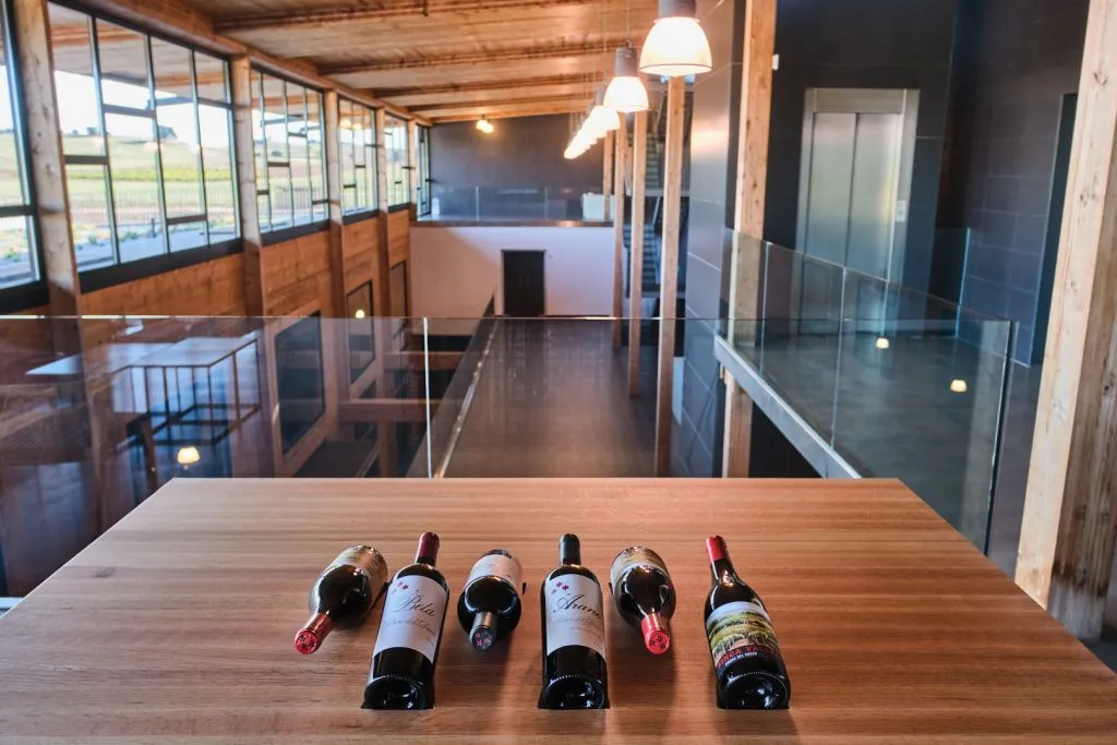Bela Winery - Villalba de Duero (Burgos)