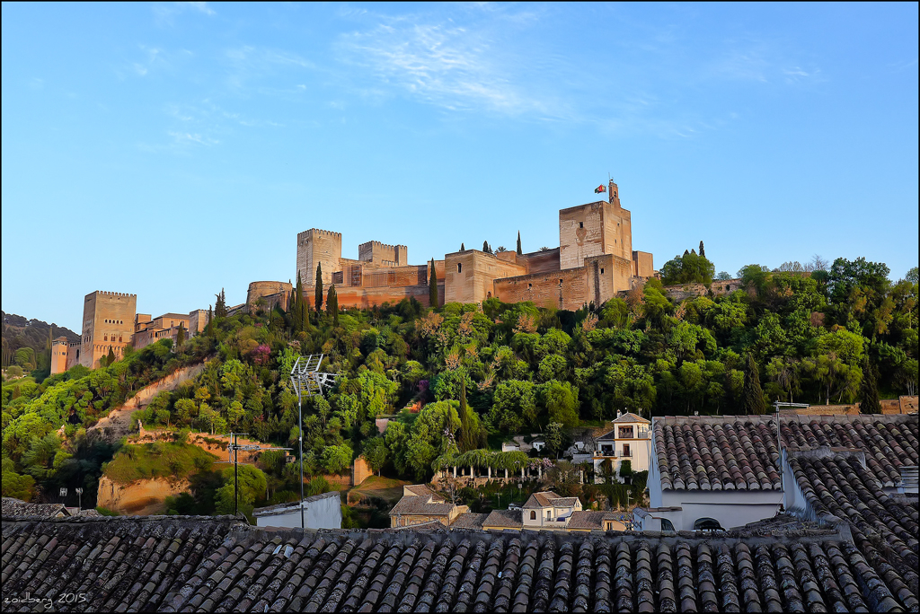 Alrededores de la Alhambra y Palacio de Carlos V: Visita guiada