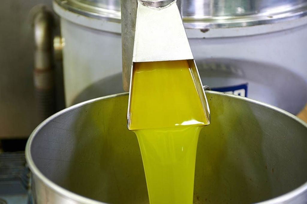 Villa Castelli: tour a piedi con degustazione di olio d'oliva
