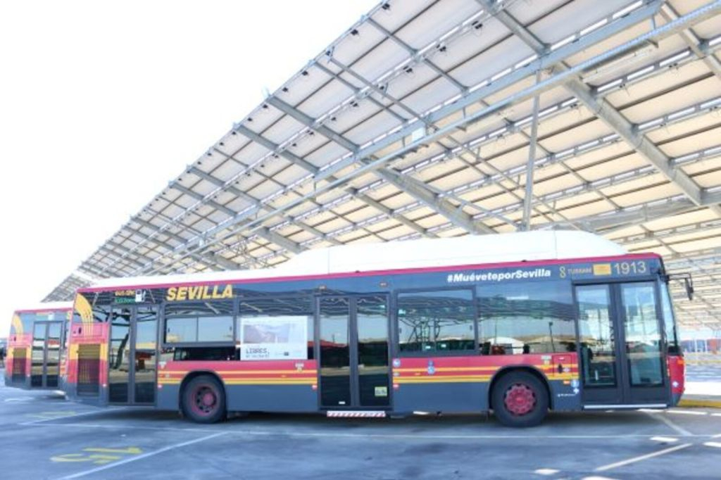 Seville: Airport & City Bus Transfer Service