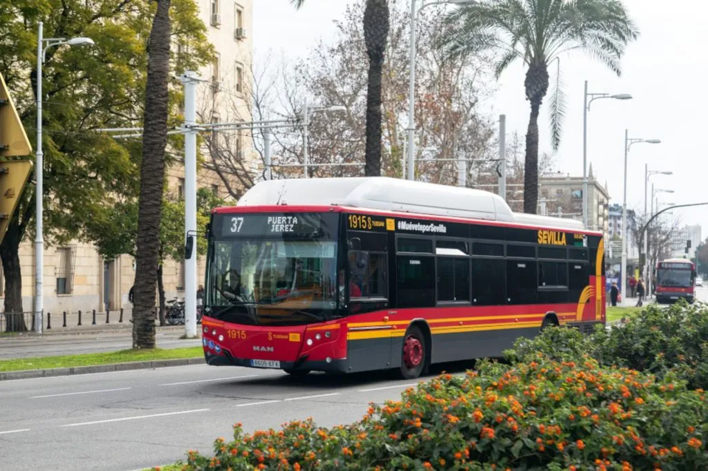 Seville: Airport & City Bus Transfer Service