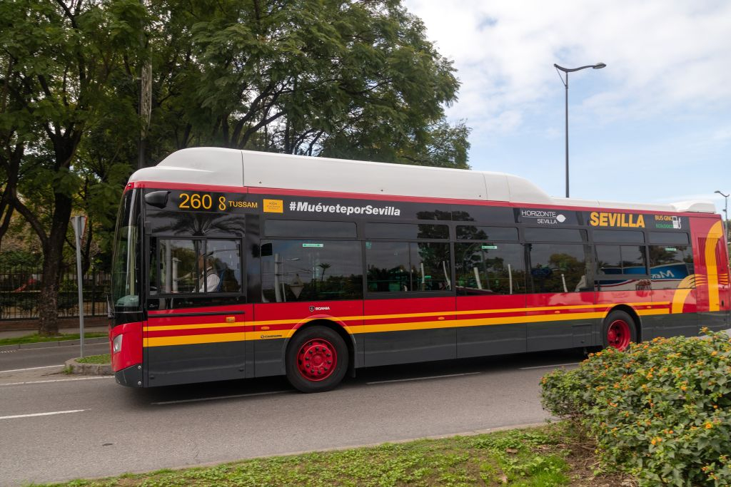 Seville: Airport & City Bus Transfer Service