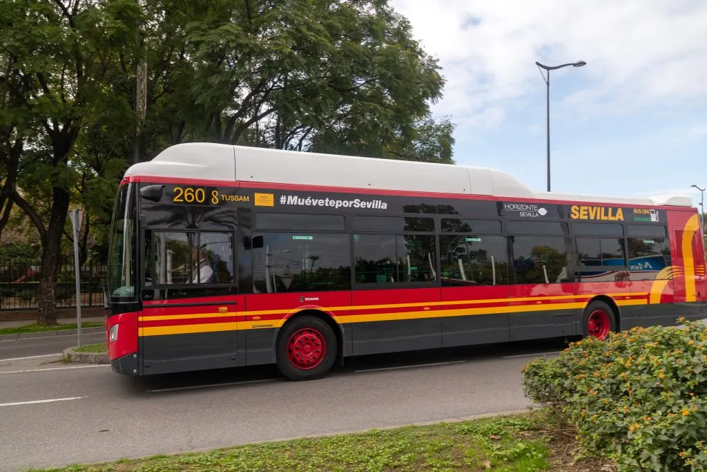 Seville: Airport & City Bus Transfer Service