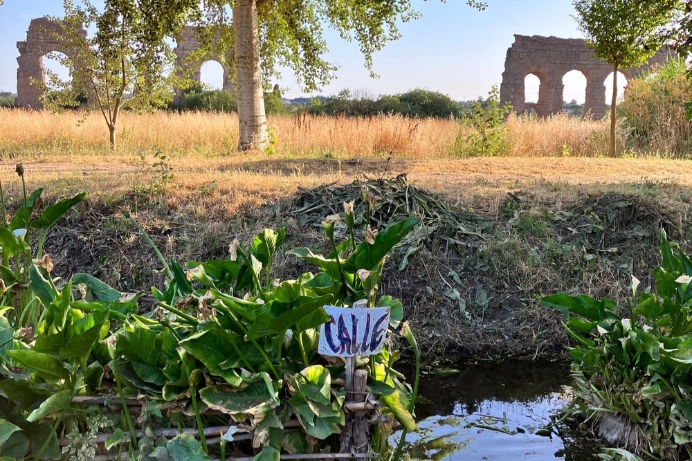 Urban Hike to the Ancient Parco Degli Acquedotti