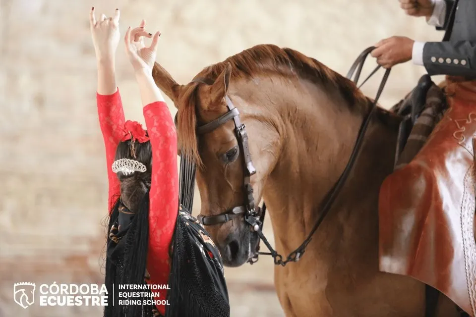 Espectáculo Ecuestre 'Pasión y Espíritu del Caballo Andaluz'