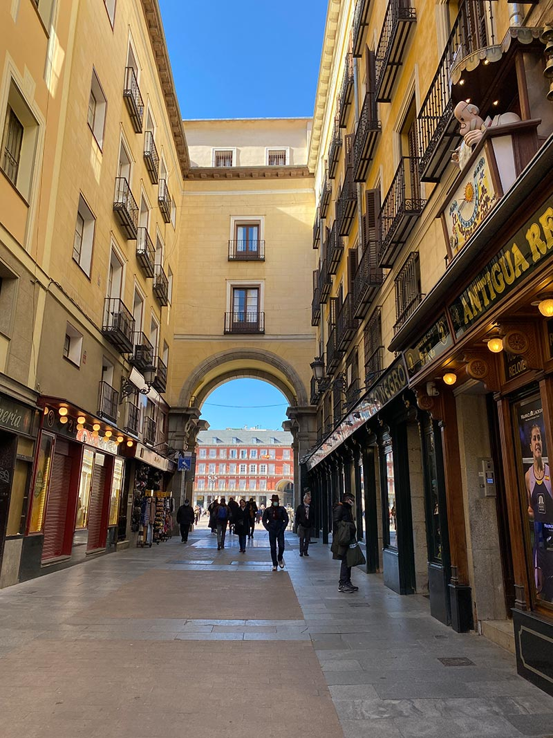  Guided visit to Madrid de los Austrias