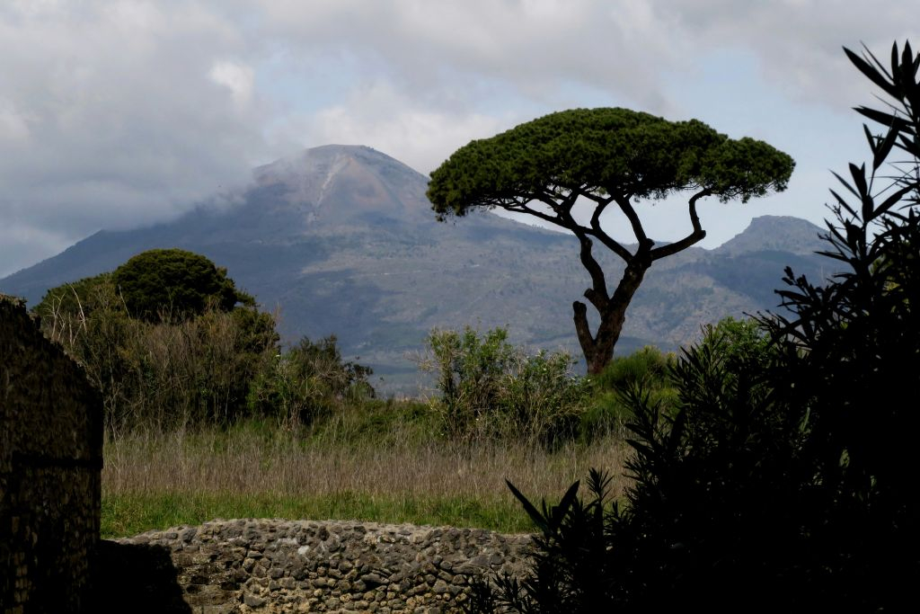 Vesuvius: Only Roundtrip from Naples by Bus
