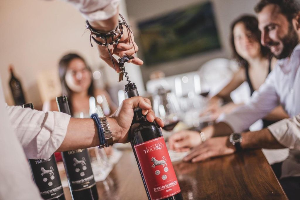 Montalcino: Tour dei vigneti e degustazione di vini